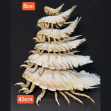 2156 Giant Isopod Specimen In Dome Glass Case Unique Handmade Christmas Home Office Decoration Ornament Collectible Model Gift