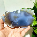 Natural Agate Stone Crystal Druzy Geode Bougainvillea Fish Statue Meditation Energy Healing Feng Shui Crystal Room Decoration