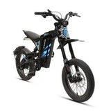 TXED new designed 1200w high power bicycle style e bike wholesale cheap adult off-road  motorcycles electric dirt bike