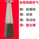 Winter Space Outdoor Heaters Street Gas Tower Patio Camping Heater Room Heater Podgrzewacz Aquecedor Heating Equipment YX50TY