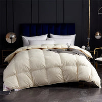 Winter Thicken Goose Down Double Duvets Blanket Velvet Comforter Couple Bed Quilt Comforters Core for Double Bed Bedding Sets