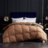 Winter Thicken Goose Down Double Duvets Blanket Velvet Comforter Couple Bed Quilt Comforters Core for Double Bed Bedding Sets