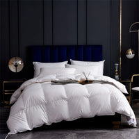 Winter Thicken Goose Down Double Duvets Blanket Velvet Comforter Couple Bed Quilt Comforters Core for Double Bed Bedding Sets