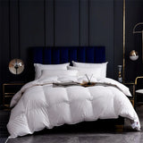 Winter Thicken Goose Down Double Duvets Blanket Velvet Comforter Couple Bed Quilt Comforters Core for Double Bed Bedding Sets