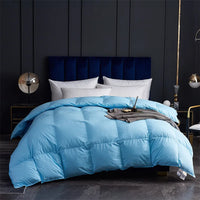 Winter Thicken Goose Down Double Duvets Blanket Velvet Comforter Couple Bed Quilt Comforters Core for Double Bed Bedding Sets