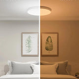 Xiaomi Mijia LED Ceiling Lamps for Bedroom Adjustable Brightness Color Temperature Dimming Lights Siri Voice Control 2700k-6000K