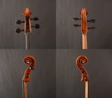 Yitamusic! A Standard Model Strad Cellos MC3000