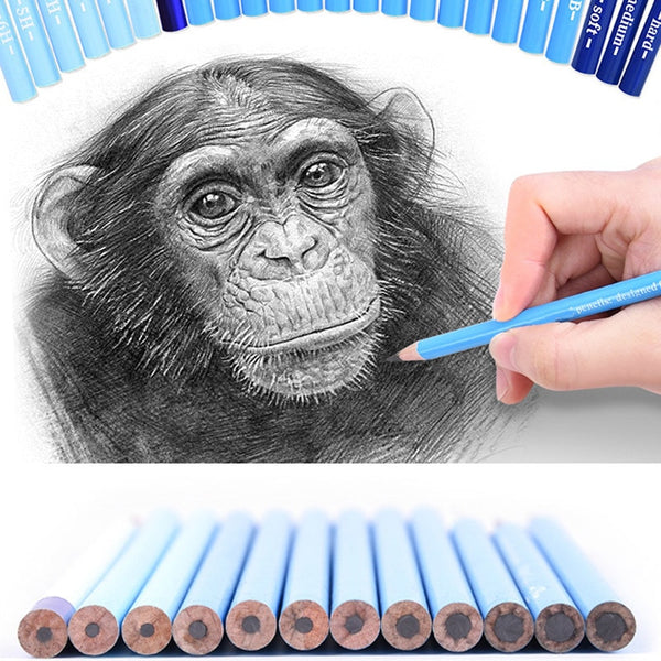 24 pcs Professional Painting Sketching Drawing Hard Medium Soft Charcoal Pencils Set Non-toxic for Drawing Stationery Supplies