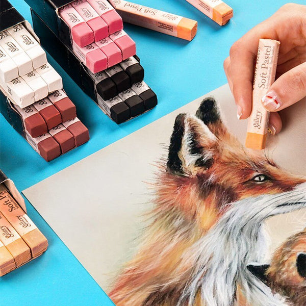 Ally Color Chalk MPV Monochrome 6pcs/Set Black White Flesh Color Sketch Painting Special Chalk Painting Art Supplies