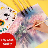 Professional Watercolor Paint Brushes Round Squirrel Hair Brush Art Painting Brushes for Artistic Watercolor Gouache Wash Mop