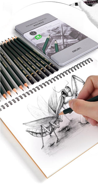 Deli Fine Sketching Pencil 12pcs Set Basswood Drawing Pencils H/HB/2H/ –  AOOKMIYA