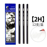 Professional Drawing Sketch Pencils Set of 12, Medium (8B - 2H