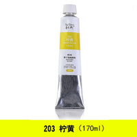 AOOKMIYA Paul Rubens Oil Paints Alkyd 24 Hours Fast Drying Professional Oil Color 170ml Tube High Quality Pigment for Artist Art Supplies