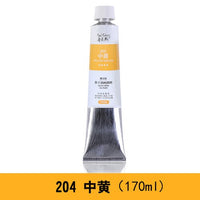 AOOKMIYA Paul Rubens Oil Paints Alkyd 24 Hours Fast Drying Professional Oil Color 170ml Tube High Quality Pigment for Artist Art Supplies